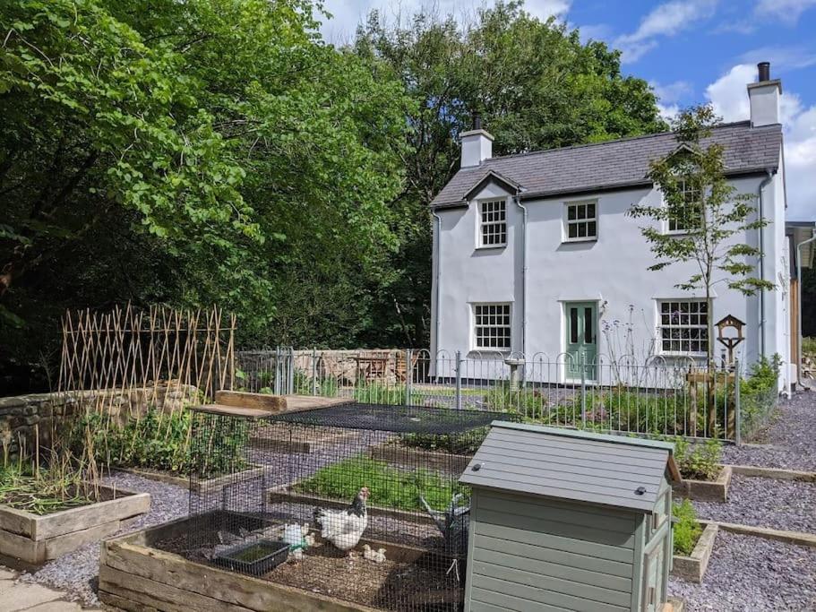 Riverside Cottage Walking Distance Into Caernarfon Buitenkant foto