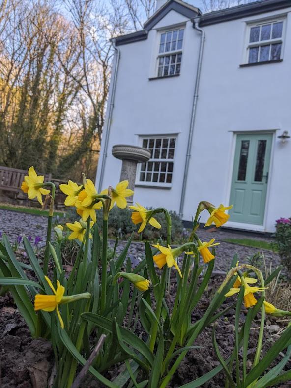 Riverside Cottage Walking Distance Into Caernarfon Buitenkant foto