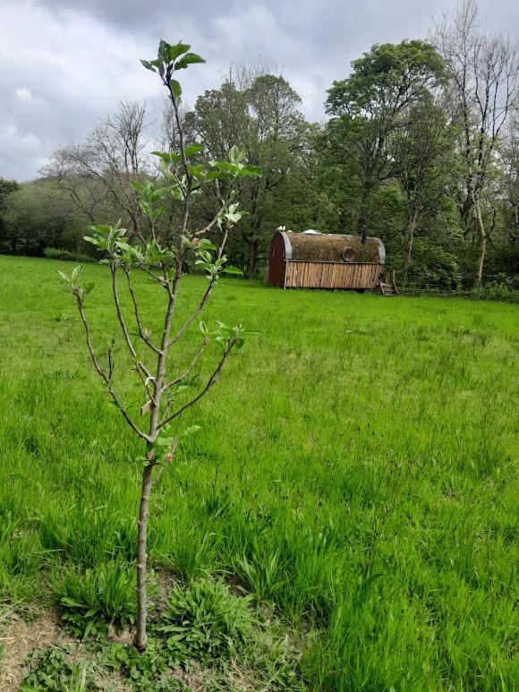 Riverside Cottage Walking Distance Into Caernarfon Buitenkant foto